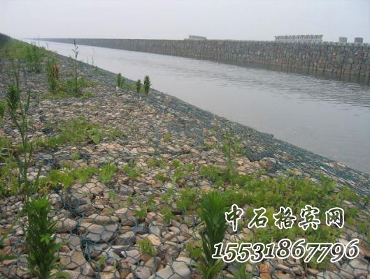 河道護(hù)坡綠濱墊